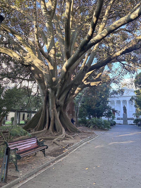 Company's Garden