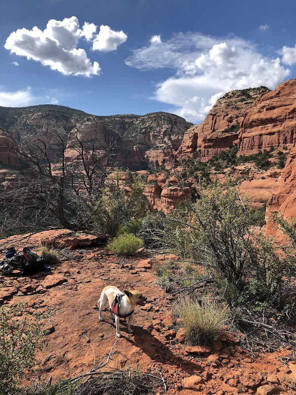 Fay Canyon Trail, Sedona