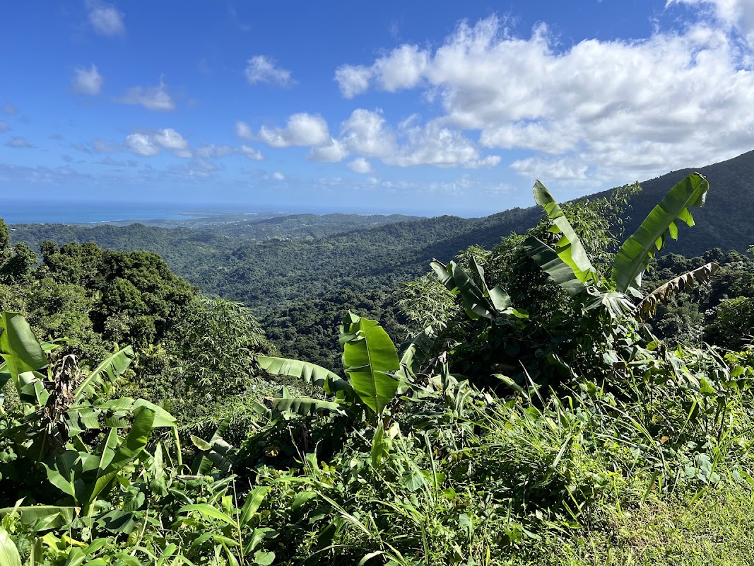 El Portal de El Yunque, San Juan