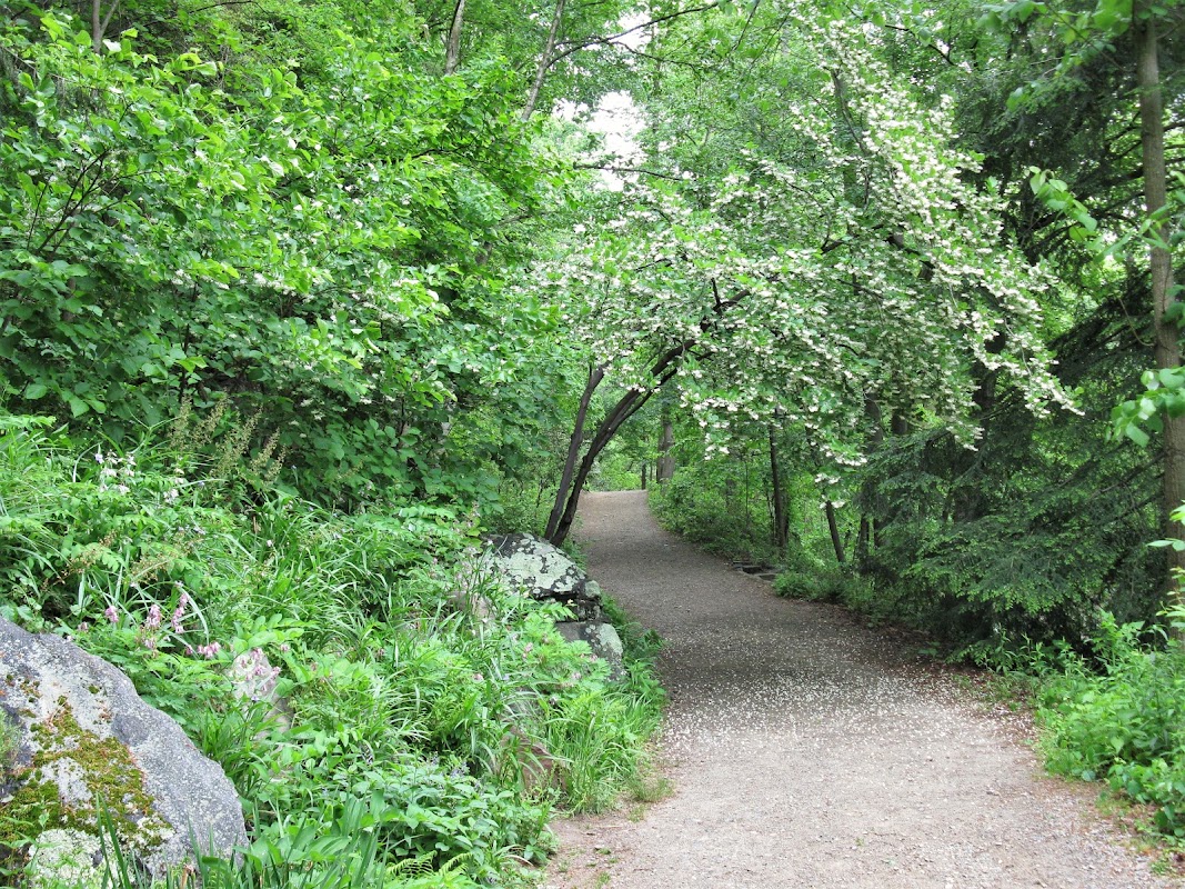 Botanical Gardens at Asheville
