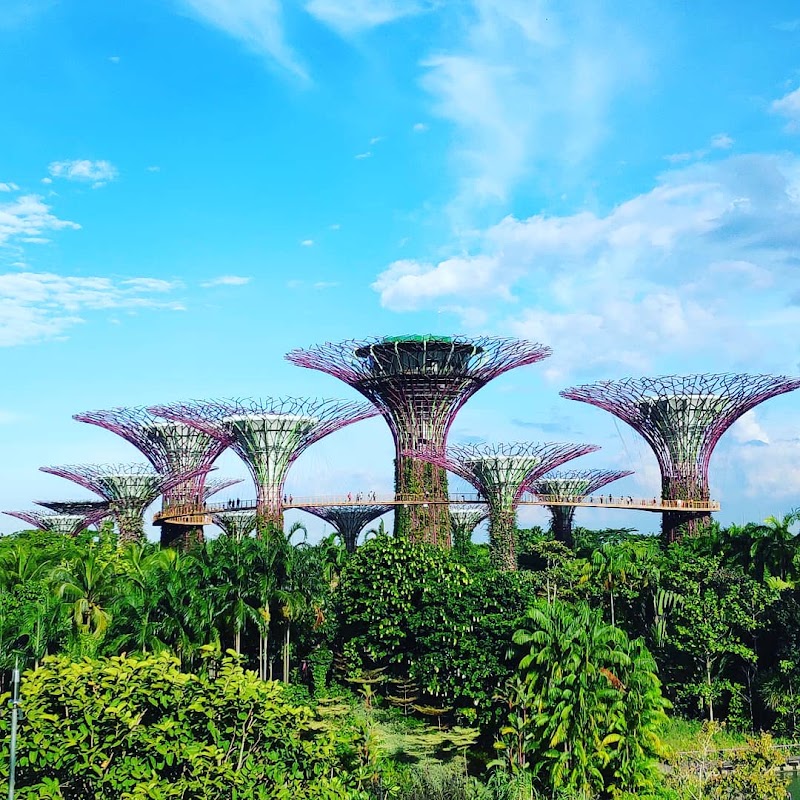 Gardens by the Bay, Singapore