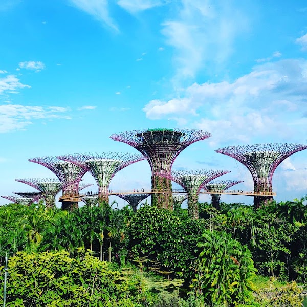A 5-Day Singapore Plan for Families