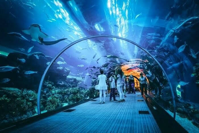 Ripley’s Aquarium of Canada, Toronto