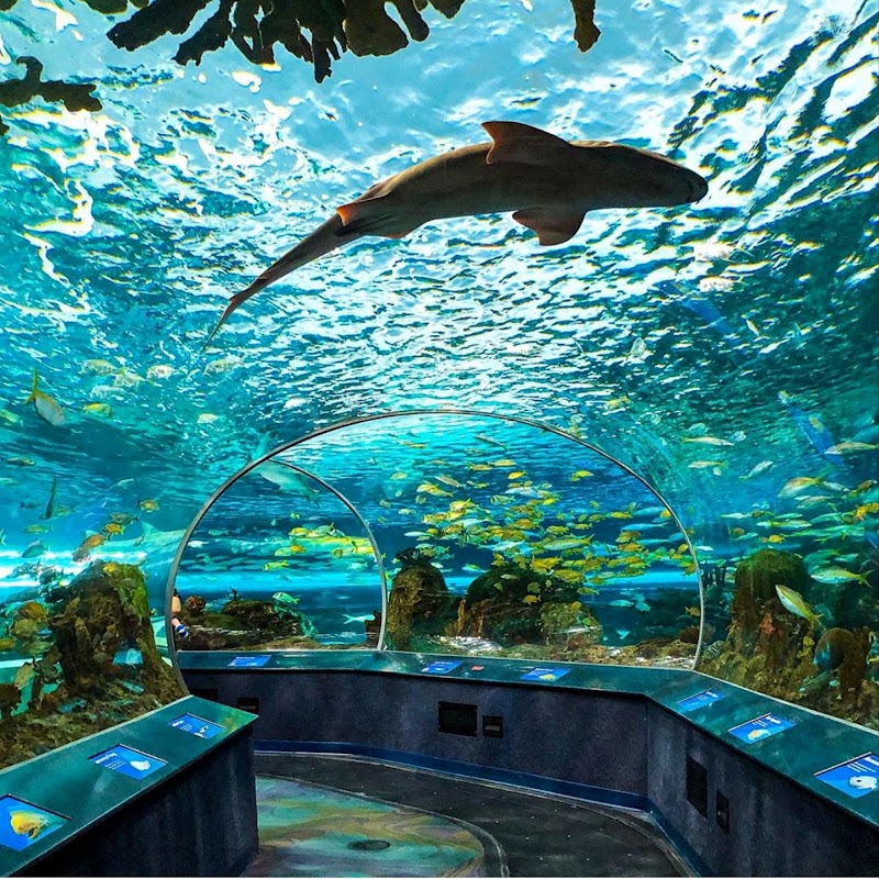 Ripley’s Aquarium of Canada