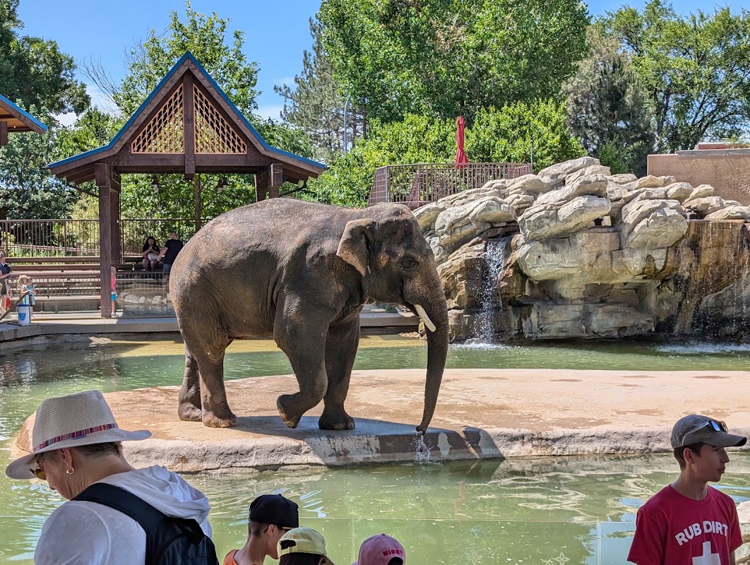 Denver Zoo