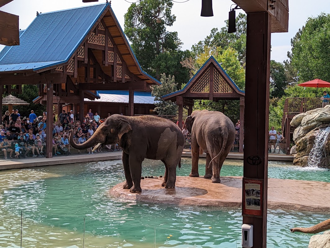 Denver Zoo