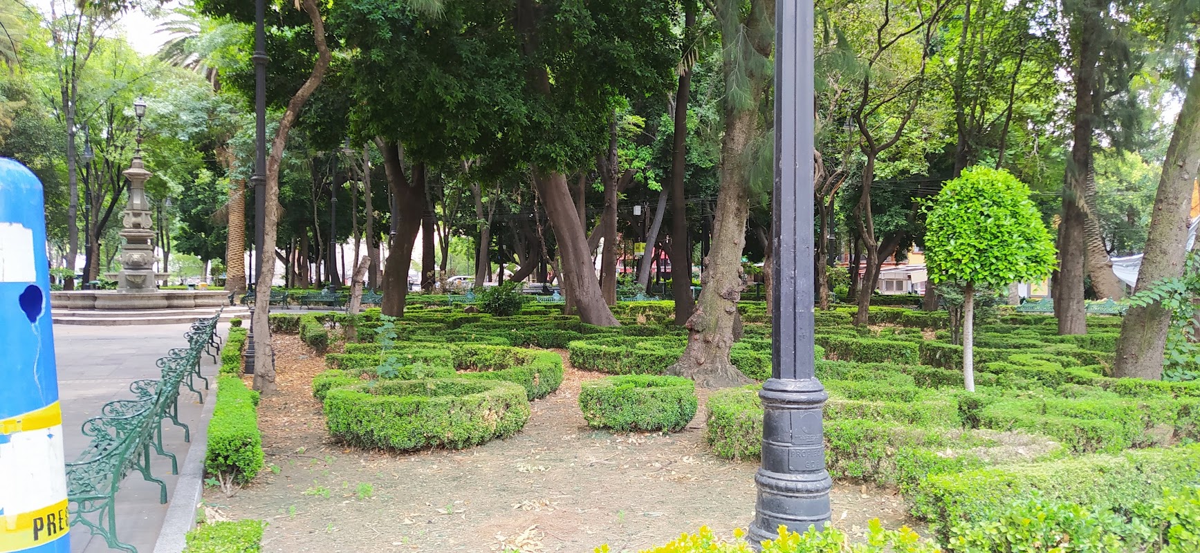 Coyoacán