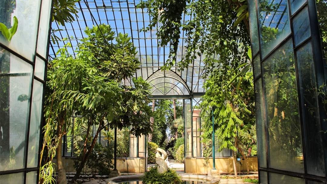 Orto Botanico di Palermo