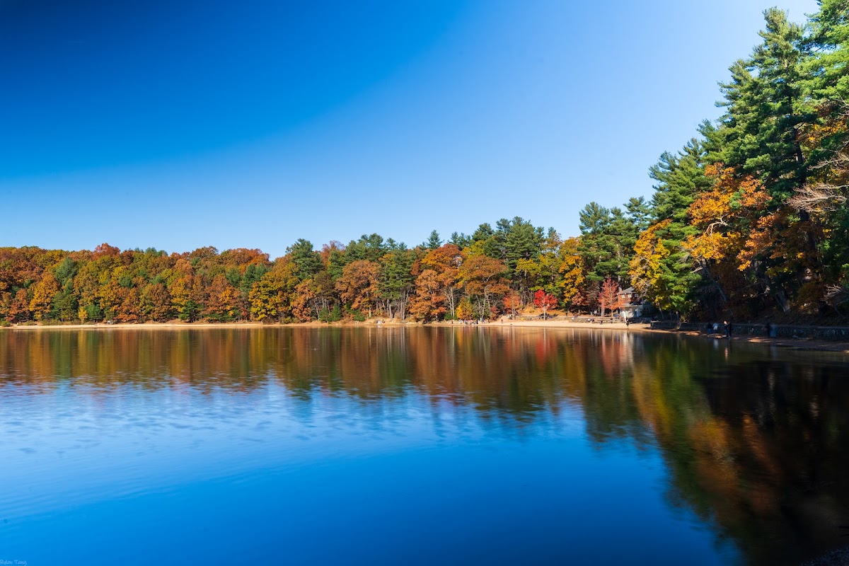 Walden Pond State Reservation