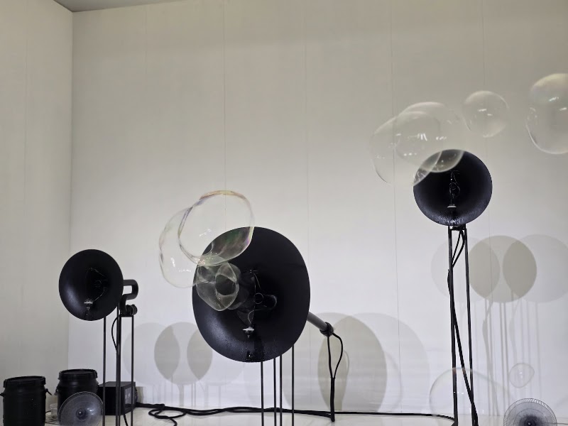Balloon Museum | EmotionAir in Chicago, IL