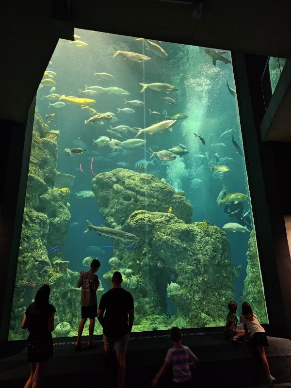 South Carolina Aquarium, Charleston