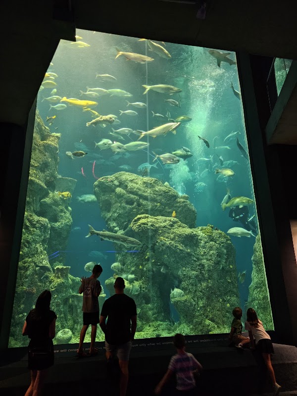 South Carolina Aquarium