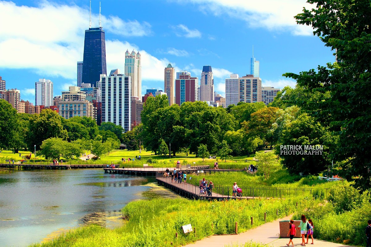 Nature Boardwalk