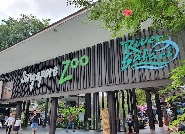 Singapore Zoo