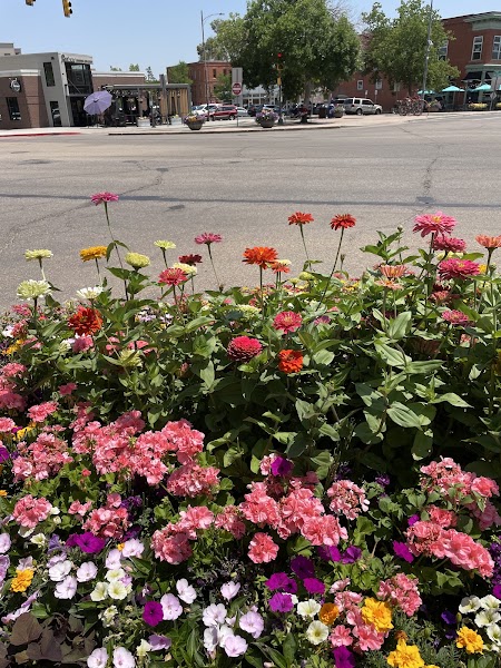 Fort Collins, CO