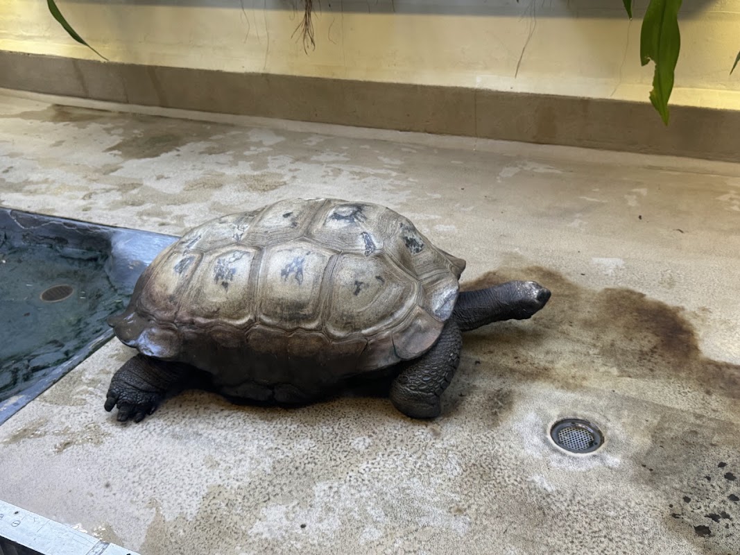 Reptile Discovery Center
