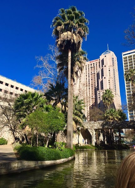San Antonio, TX