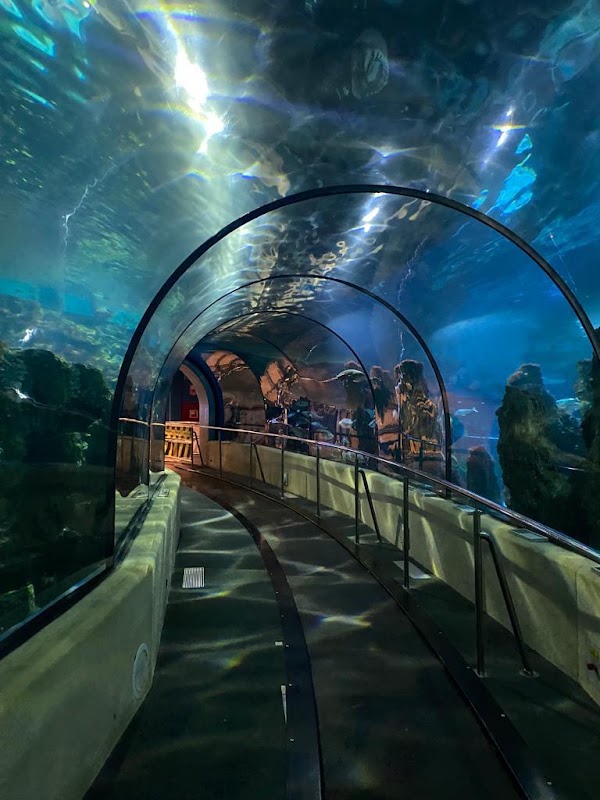 L'Aquàrium de Barcelona