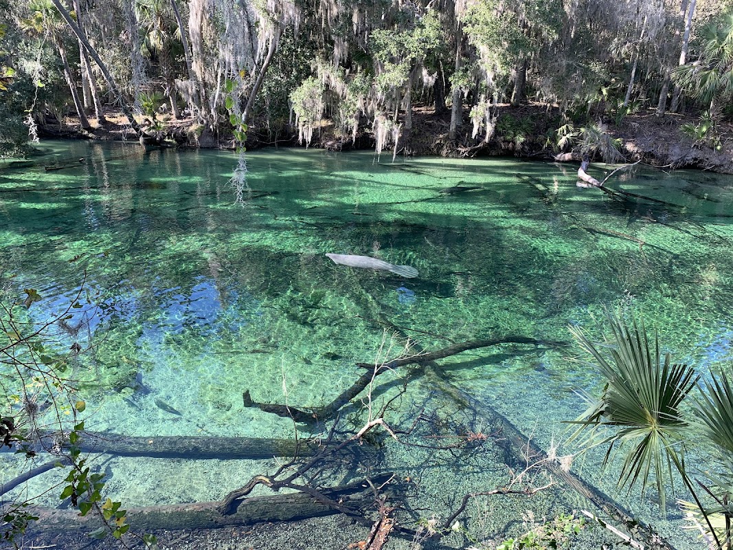 Blue Spring State Park, Orlando
