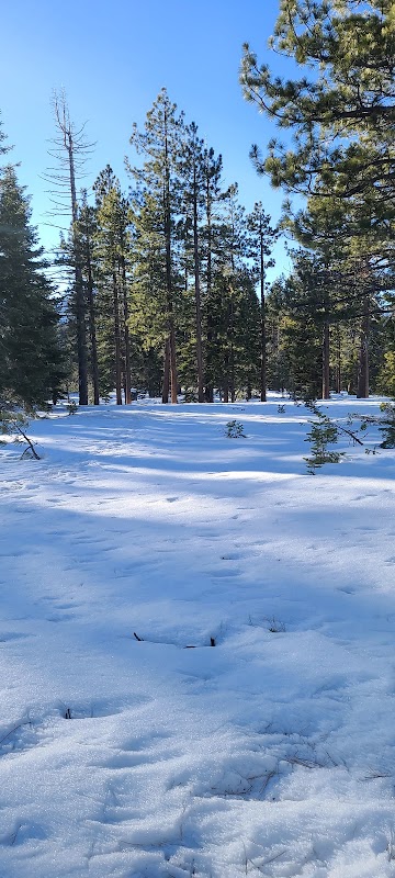 Taylor Creek Sno-Park, South Lake Tahoe
