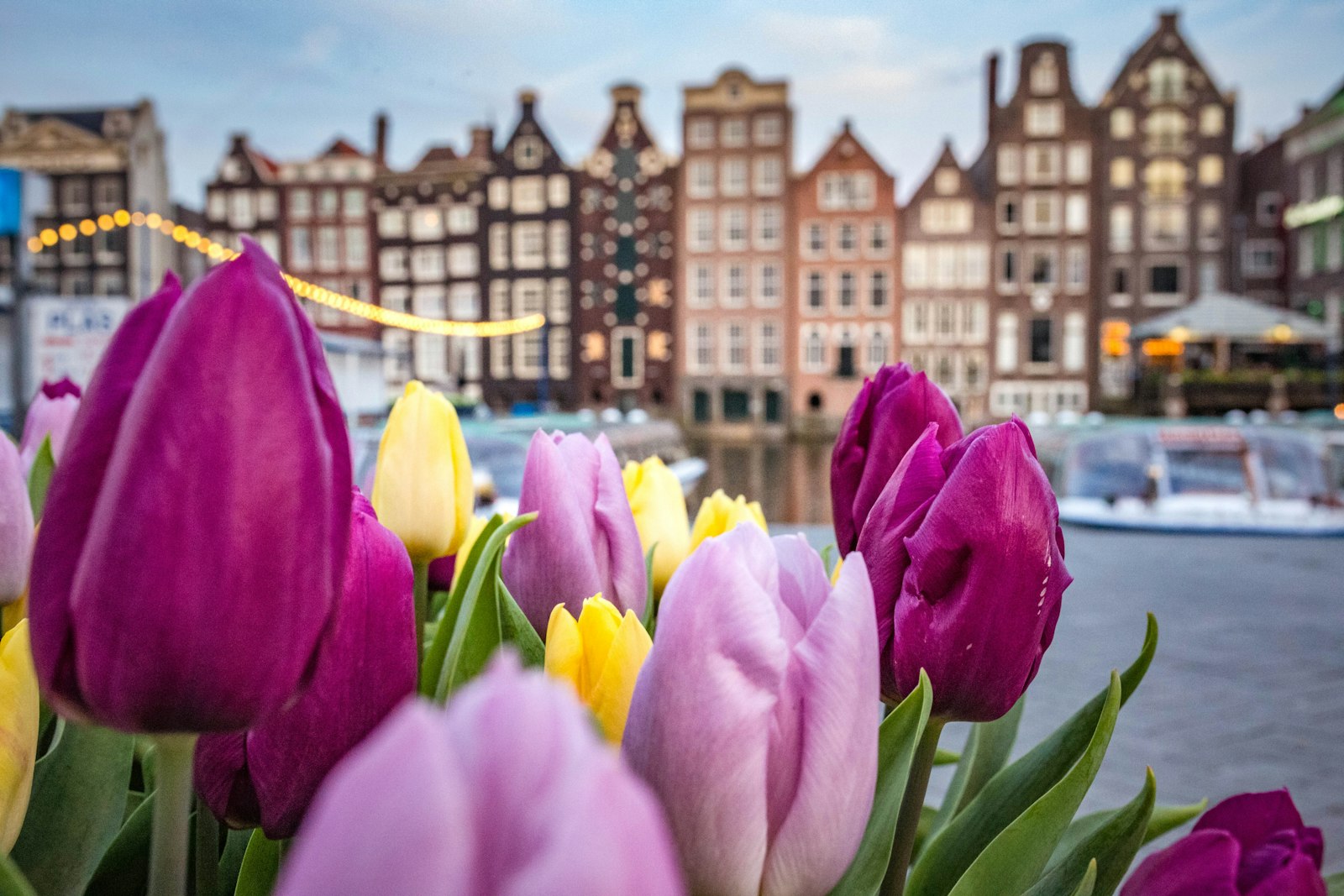 Proposing in Amsterdam: a weekend plan