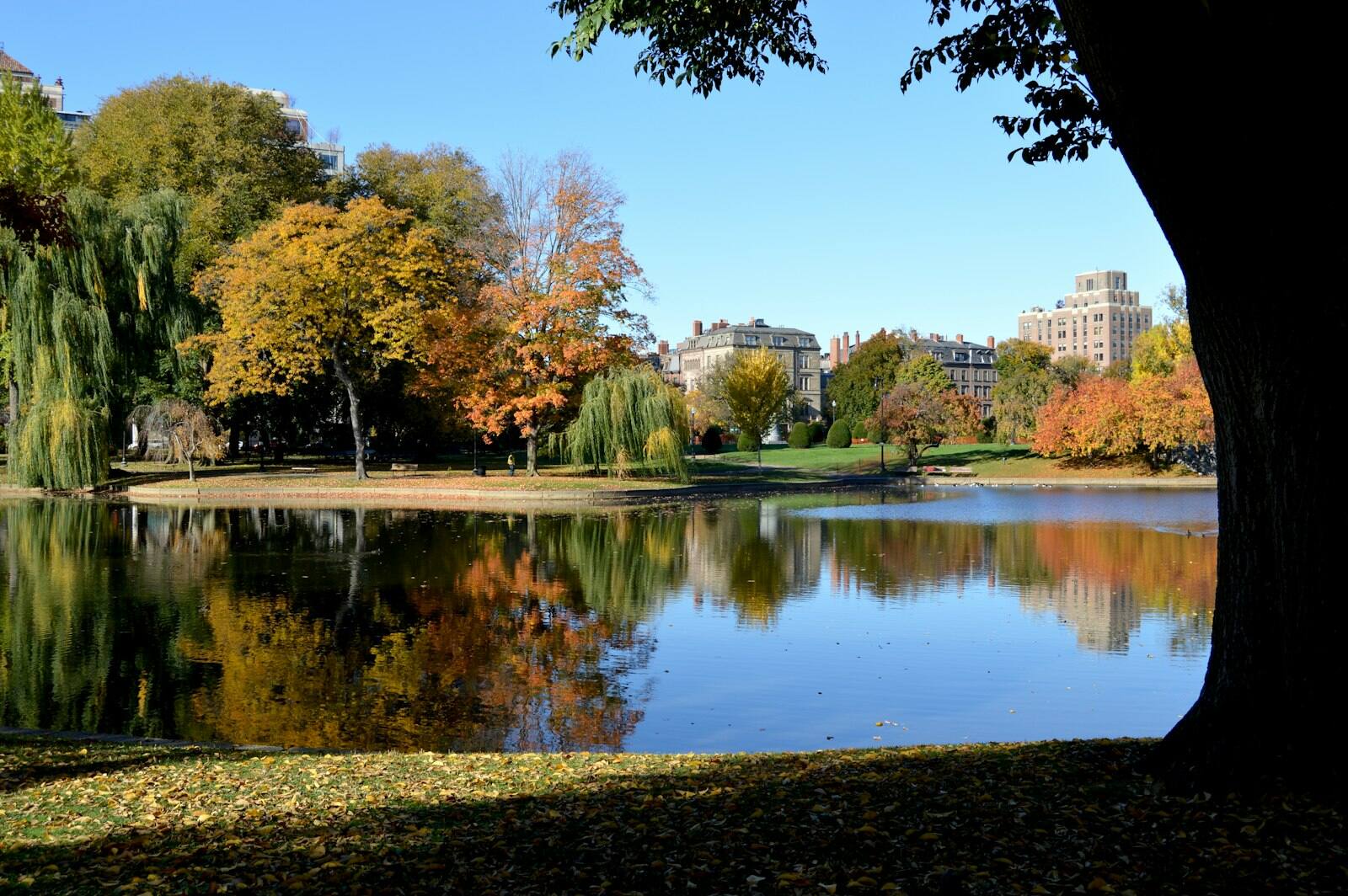 A Boston Fall Weekend with Friends