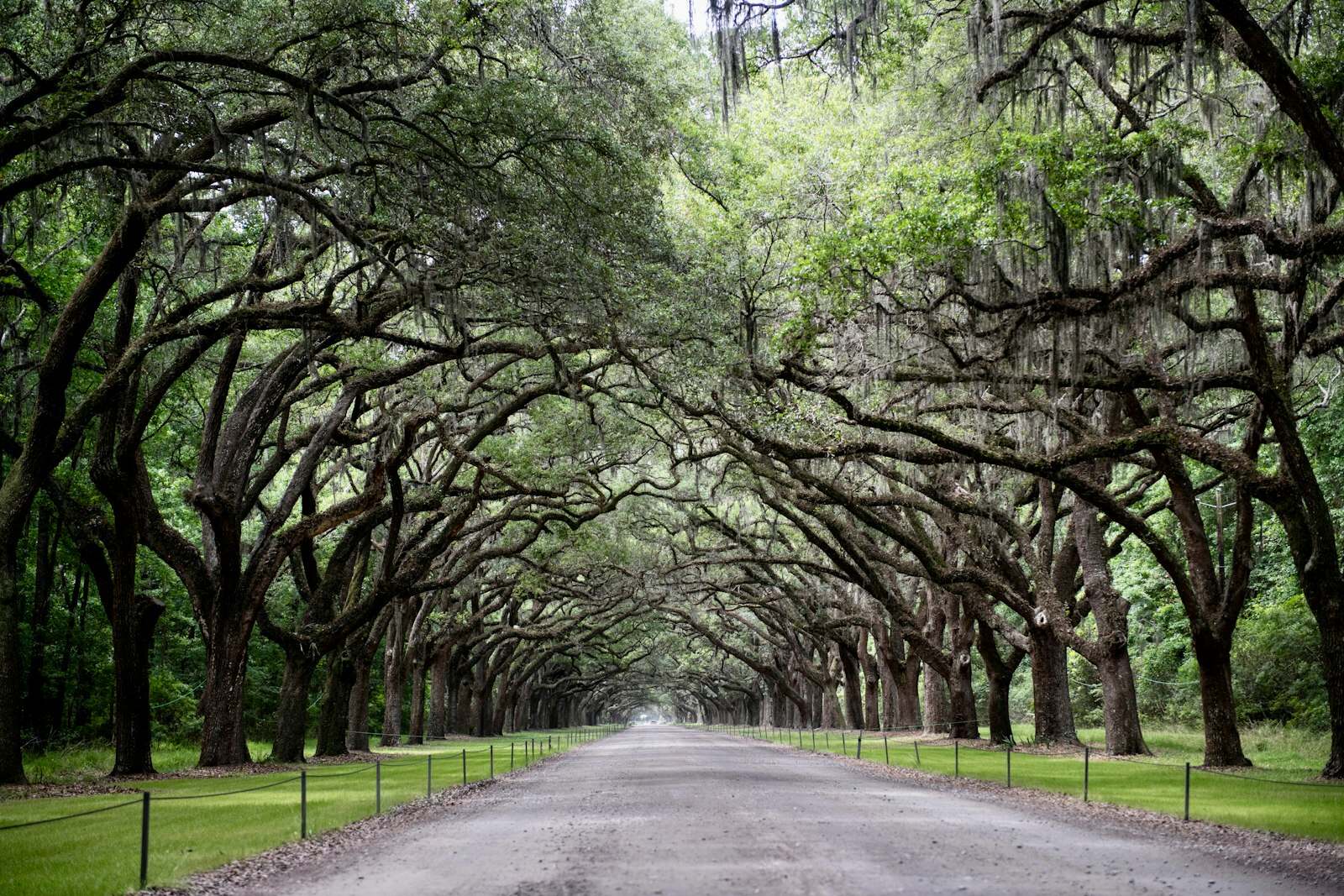 Savannah, GA