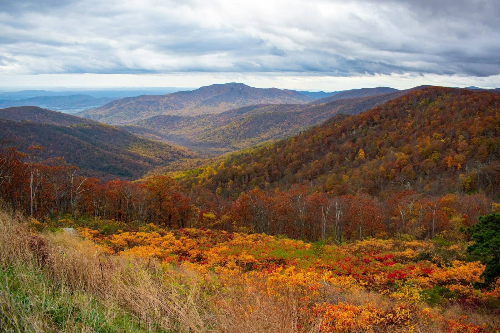 A Shenandoah fall foliage road trip