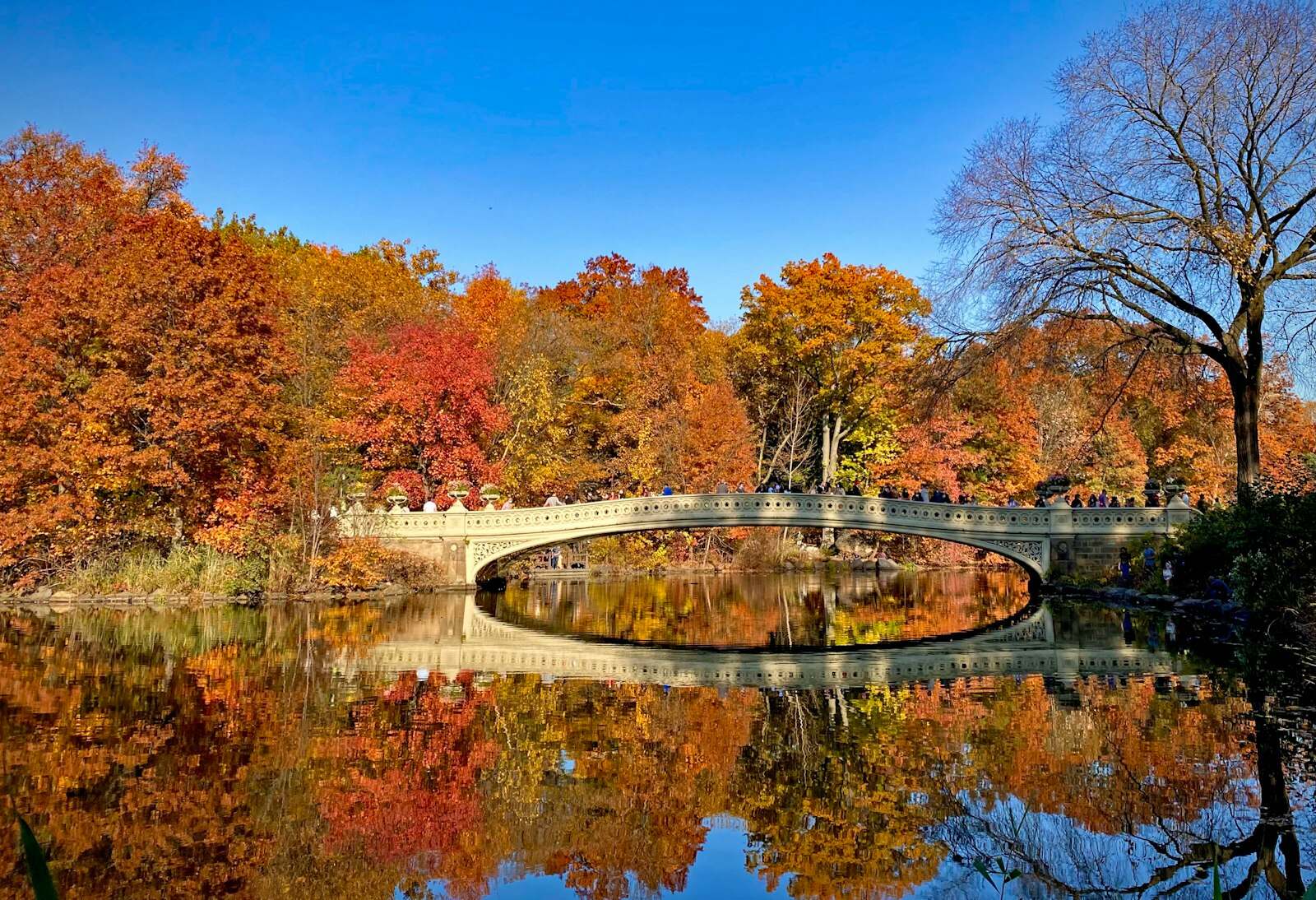 A fall weekend in New York for couples